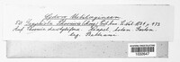 Graphiola phoenicis image